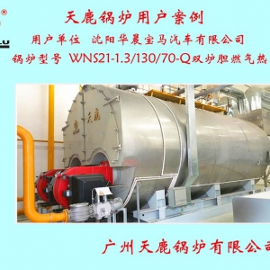 沈陽(yáng)華晨寶馬汽車有限公司一臺(tái)WNS21雙爐膽燃?xì)鉄崴仩t