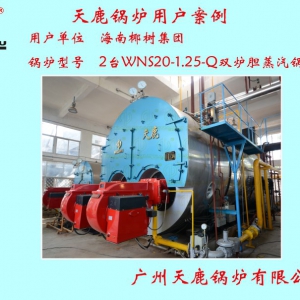 椰樹(shù)集團(tuán)2臺(tái)WNS20-1.25-Q雙爐膽蒸汽鍋爐